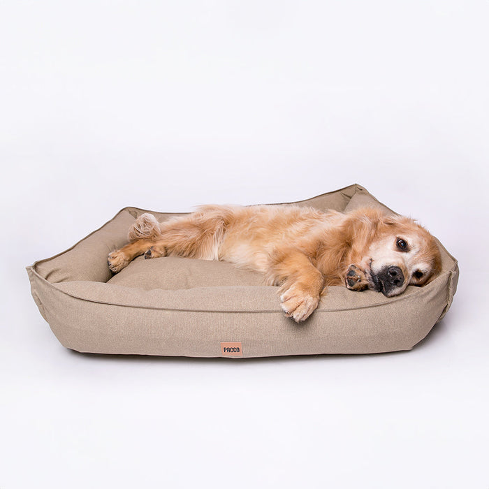 Cachorro golden idoso descansando em cama Pacco Pet