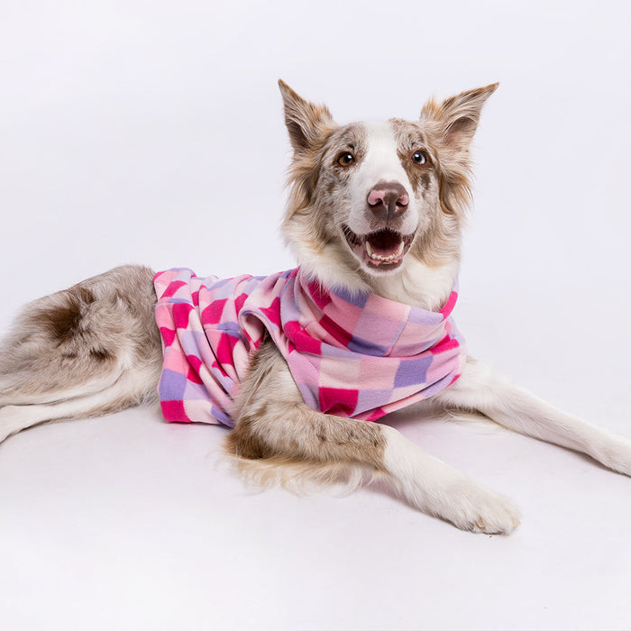 Cachorro aquecido com roupa de frio Pacco Pet
