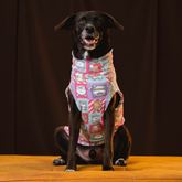 Suéter Fauna Puppy Rosa