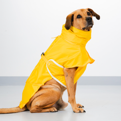 Capa de Chuva Pacco Aqua Amarelo
