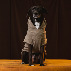 Roupa para Cachorro Blusão Sampa Kiwi