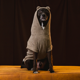 Roupa para Cachorro Blusão Sampa Kiwi