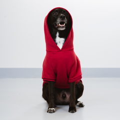Moletom Pacco Vermelho