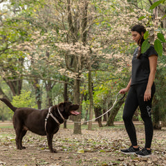 Guia para Cachorro Aquarela Areia