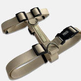 Peitoral para Cachorro H Aquarela Areia