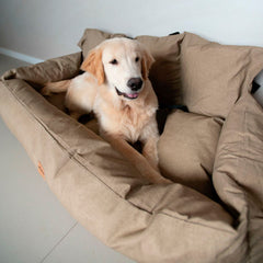 Bolsa para Transporte Cangu Ecotec GG