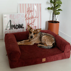 Cama Ortopédica Pacco Sense Canele C-Core®