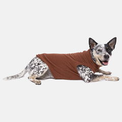 Suéter Fauna Marrom