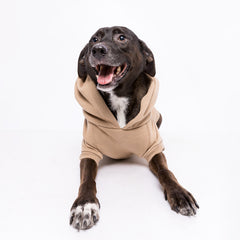 Roupa para Cachorro Moletom Pacco Bege