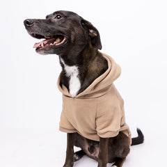 Roupa para Cachorro Moletom Pacco Bege