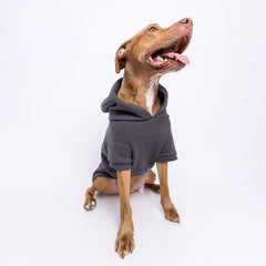 Roupa para Cachorro Moletom Pacco Chumbo