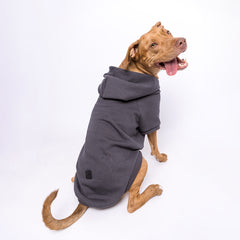 Roupa para Cachorro Moletom Pacco Chumbo
