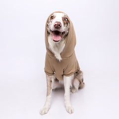 Roupa para Cachorro Moletom Pacco Bege