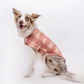 Colete Patagonia Rosa