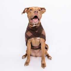 Colete Patagonia Marrom