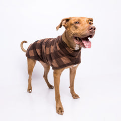 Colete Patagonia Marrom