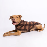 Colete Patagonia Marrom