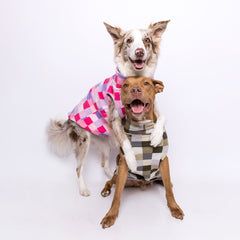 Suéter Fauna Vichy Verde