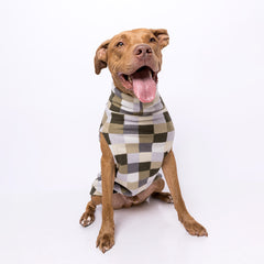 Suéter Fauna Vichy Verde