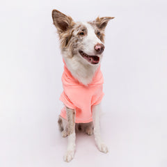 Blusão Sampa Rosa Neon