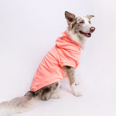 Blusão Sampa Rosa Neon