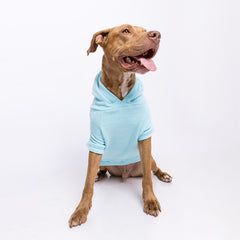 Blusão Sampa Azul Celeste