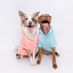 Blusão Sampa Rosa Neon