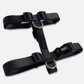 Peitoral para Cachorro H Aquarela Grafite