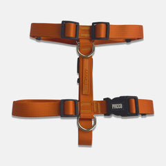 Peitoral para Cachorro H Aquarela Tangerina