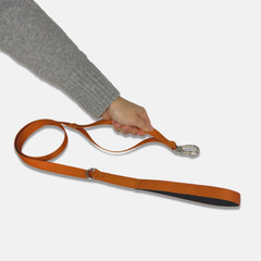 Guia para Cachorro Aquarela Tangerina