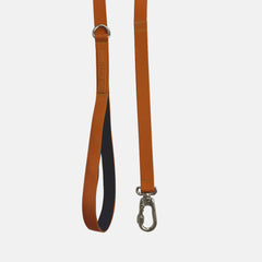 Guia para Cachorro Aquarela Tangerina