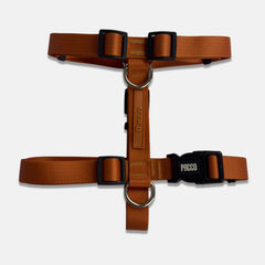 Peitoral para Cachorro H Aquarela Tangerina