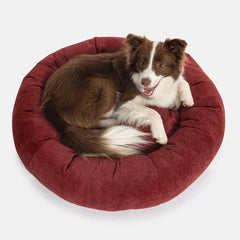 Cama Pacco Nala Redonda Boucle Canele