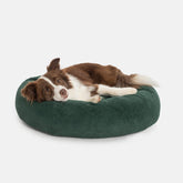 Cama Pacco Nala Boucle Verde Redonda