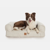 Cama Ortopedica Pacco Sense Boucle Off White C-Core®