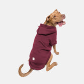 Roupa para Cachorro Moletom Pacco Merlot
