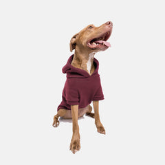 Roupa para Cachorro Moletom Pacco Merlot