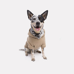 Roupa para Cachorro Moletom Pacco Bege