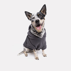 Roupa para Cachorro Moletom Pacco Chumbo