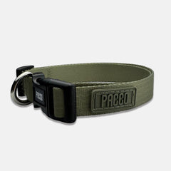 Coleira para Cachorro Pacco Aquarela Pistache