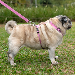 Guia para Cachorro Aquarela Rosa Pink
