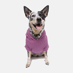 Blusão Sampa Rosa Punch