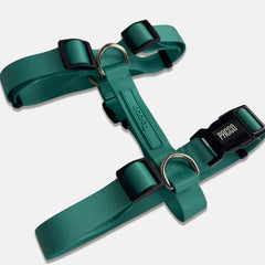 Peitoral para Cachorro H Aquarela Turquesa