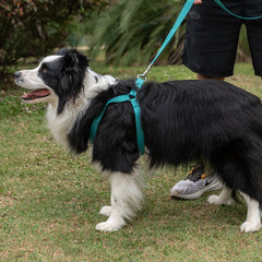 Peitoral para Cachorro Step In Aquarela Turquesa