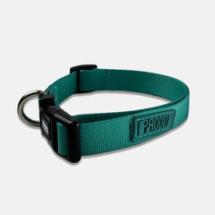 Coleira para Cachorro Aquarela Turquesa