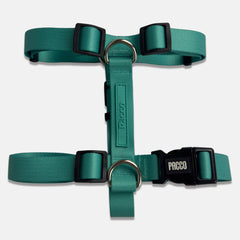 Peitoral para Cachorro H Aquarela Turquesa