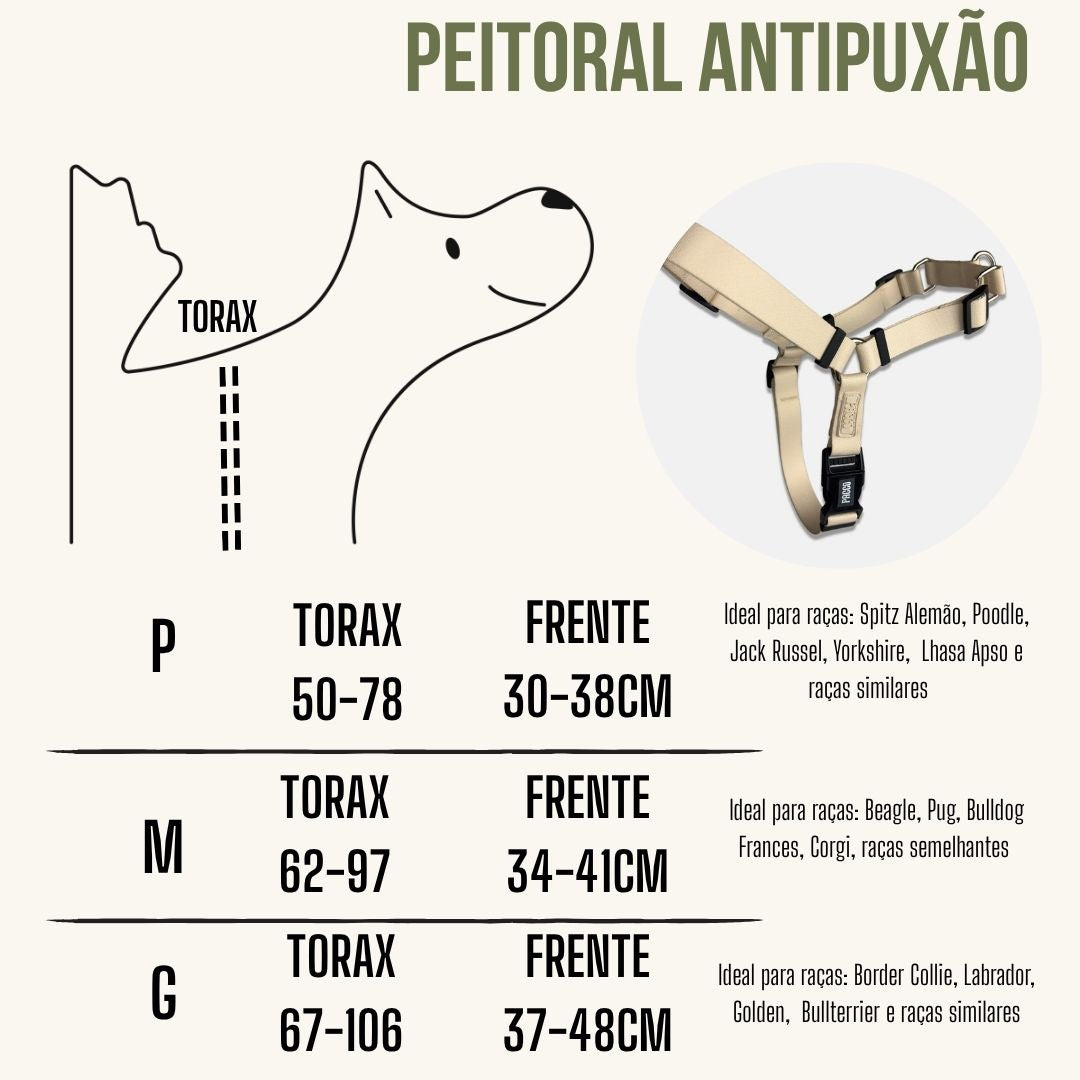 PACCO | Estilo e Conforto para Seu Pet