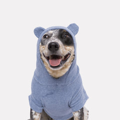 Roupa para Cachorro Blusão Sampa Azul