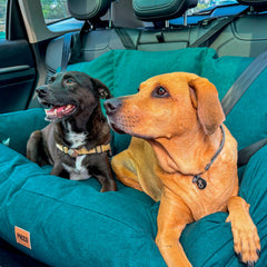 Bolsa para Transporte Cangu Ecotec GG