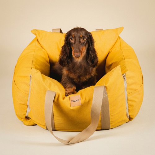 Bolsa de Transporte Cangú Explora Amarelo Solar com dachshund de pelo longo deitado no interior acolchoado, em estúdio